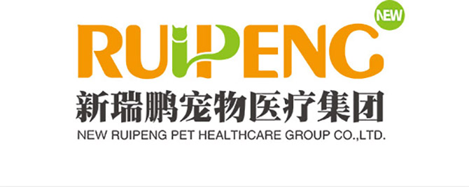 JDB电子(中国区)·官方网站