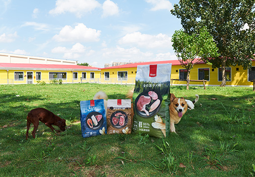 JDB电子(中国区)·官方网站