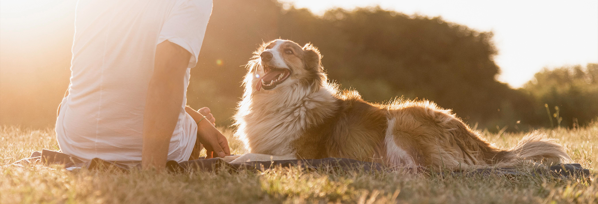 JDB电子(中国区)·官方网站