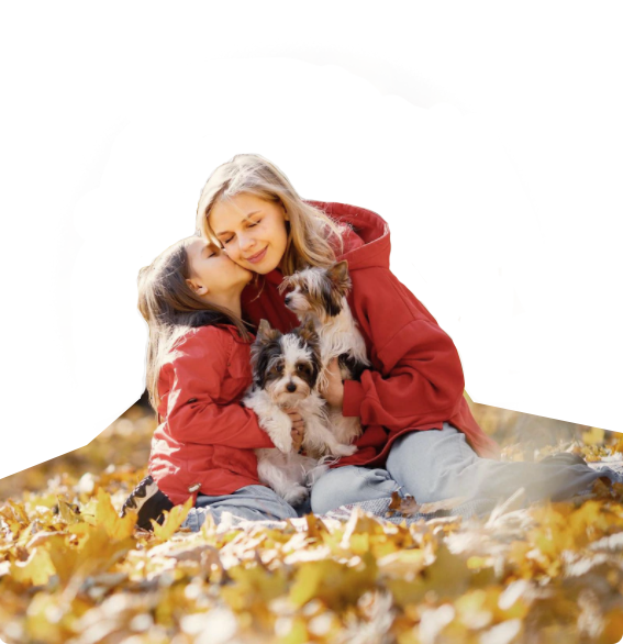 JDB电子(中国区)·官方网站