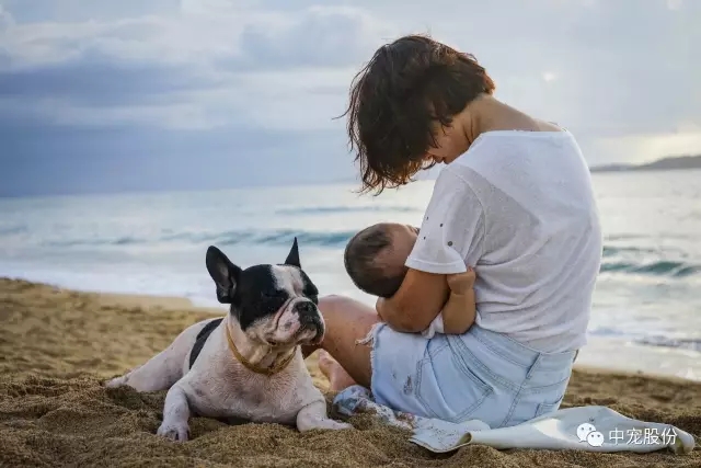 2203f392fdef4254990dc4f9cfed6d38