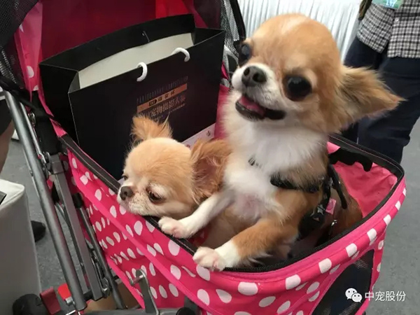 405d343b36084baa982ab225adac4e44