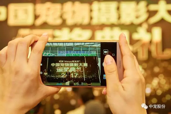 6de605fe0383416d9f9766f334b7e9e6