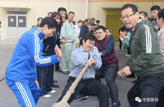 2d641ed383434902b8c44f42e1bb5d7c