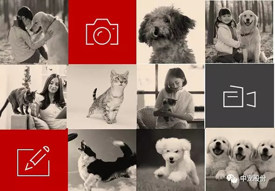 5180088311834e7e893d60eedc4139c9