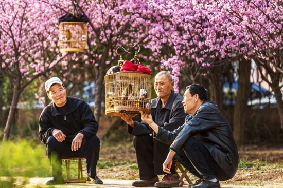 33be2279712343b7895100cb394927d9