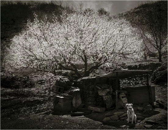 50c7ea12852742b5bb384ff71fb5d47f