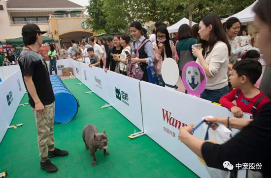 77ccca49c72b417084d6cd20ff2b1ec0