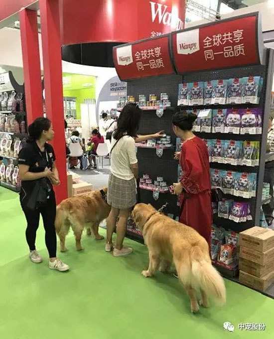 82bd78c6a0e6458a84986cea37560c8b