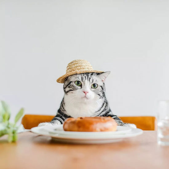 9ead3e08354245a69c7d65e3fb5377b7