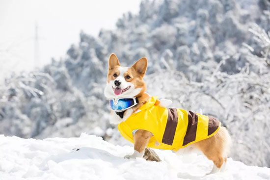 a170c3a586b5457ba9082d60c0aed722