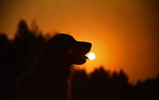 be37e9c77a7647a5b0a067def95447c4