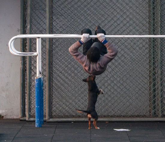 cbbd12a61a9d4fbc96516199e1cfb84f