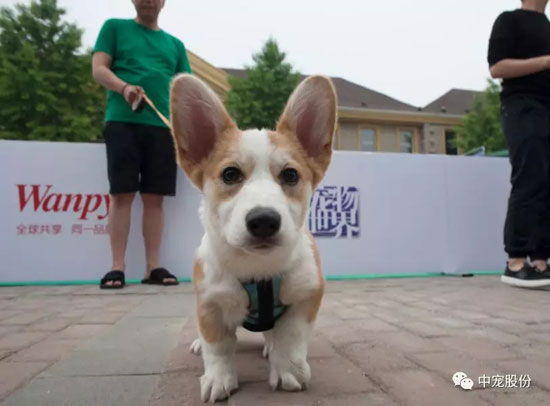 e5d4d0b97e494747b6f64635f9456f28