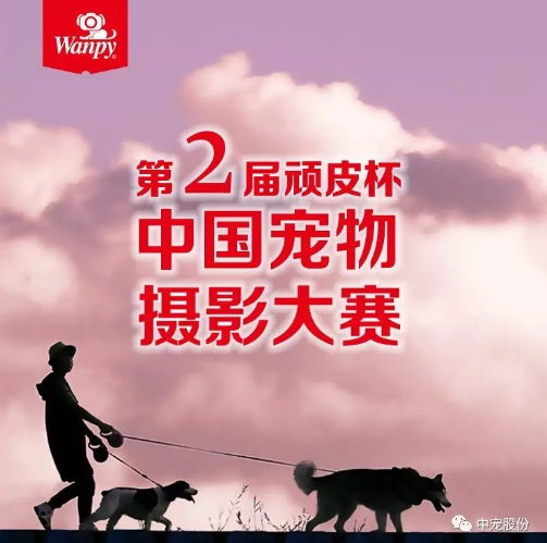 ad9c2b5028c44e288bebab8e7970b0f4