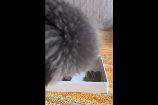 f9003ad3392147319de19997a03c83d3