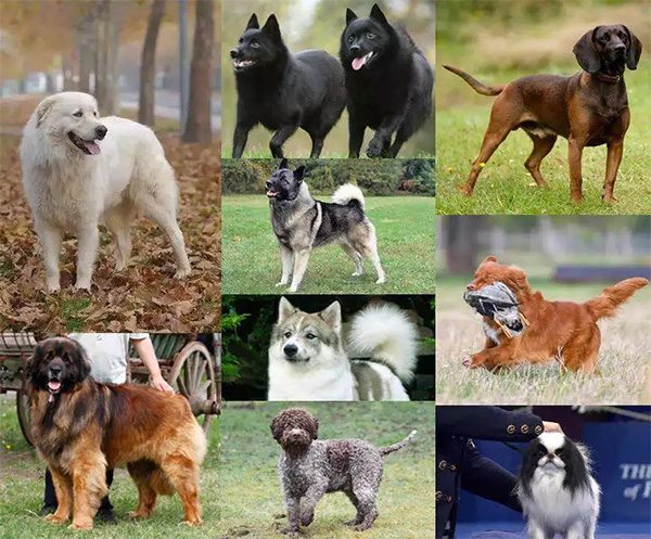 015bb6a21b794a7e85ec483ff0c92f1b