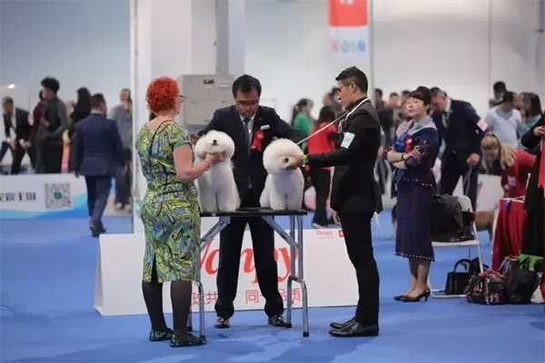 50d0d7be4698407189b20a138157420d