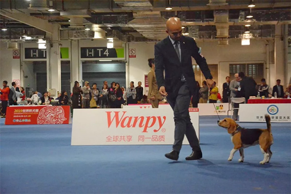 e9c3ec83c13948c1997bc6410137566c