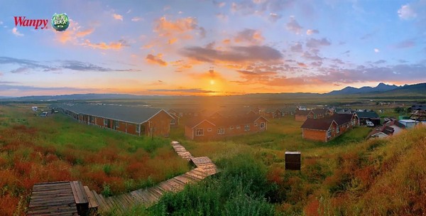 8b41c5924c354a51aa414fea27c66070