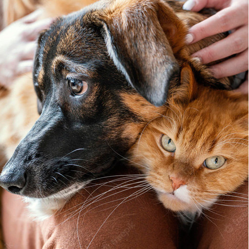 JDB电子(中国区)·官方网站