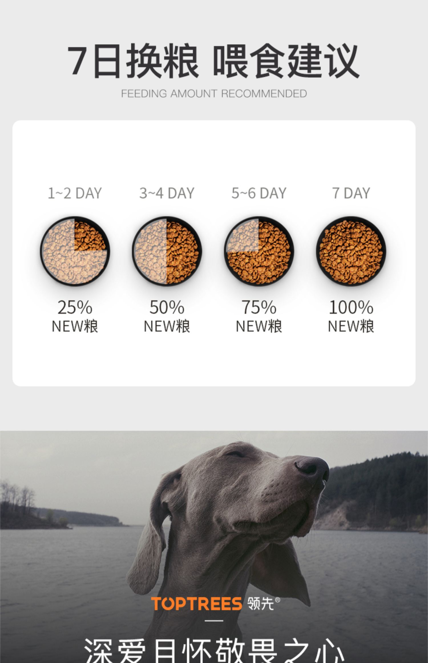 19c3767a437f4a0f80e816d72438d3b7