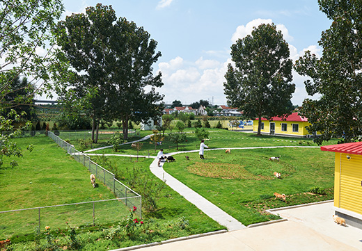 JDB电子(中国区)·官方网站