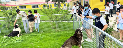 JDB电子(中国区)·官方网站