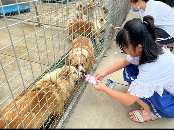 JDB电子(中国区)·官方网站