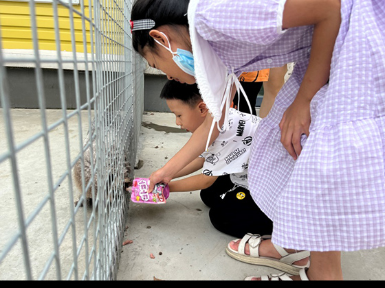 JDB电子(中国区)·官方网站