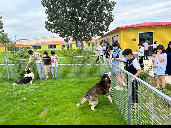 JDB电子(中国区)·官方网站