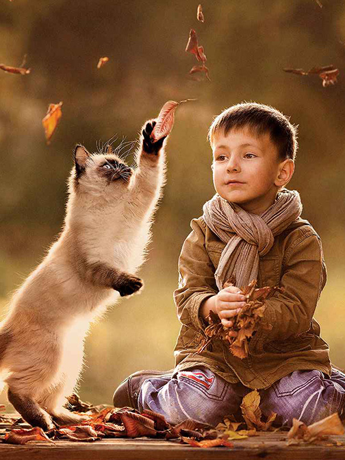 JDB电子(中国区)·官方网站