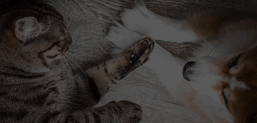 JDB电子(中国区)·官方网站