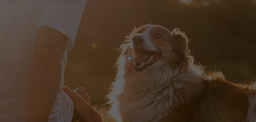 JDB电子(中国区)·官方网站