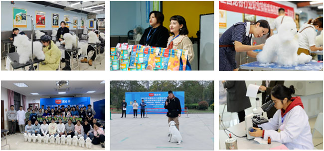 fa4990b099d44c57a1a35b63cf6ab1c9