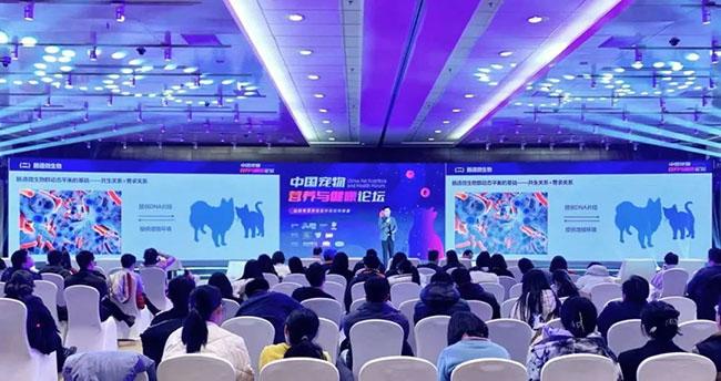 JDB电子(中国区)·官方网站