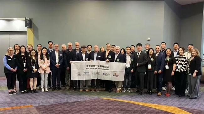 JDB电子(中国区)·官方网站