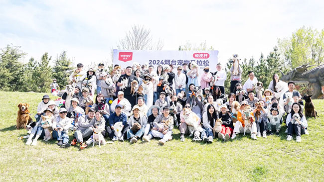 8d7965b5115c47748e3111c8af5838c5