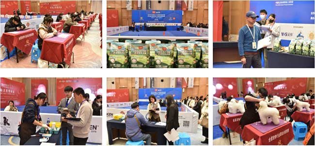 06024081a577424d8ea4b63ef418fc91