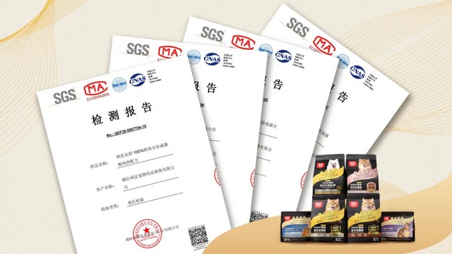 5ece1a197c2842e39c2fc063c33bb84a