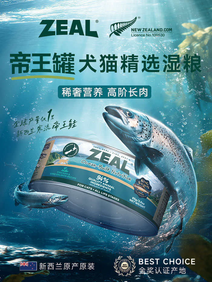 JDB电子(中国区)·官方网站