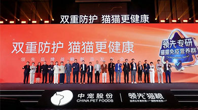 JDB电子(中国区)·官方网站